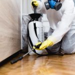 The-Importance-of-Pest-Control-in-Libraries-e1574699832585
